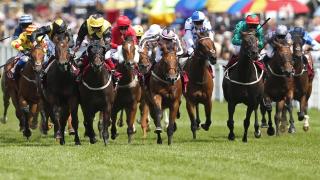 Goodwood racecourse